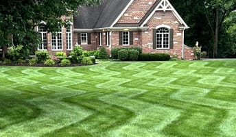 residential landscaping lawn